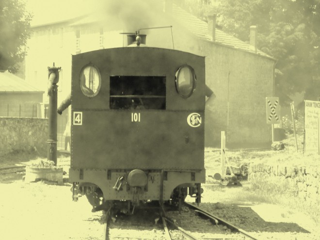 CIMG1878.JPG
