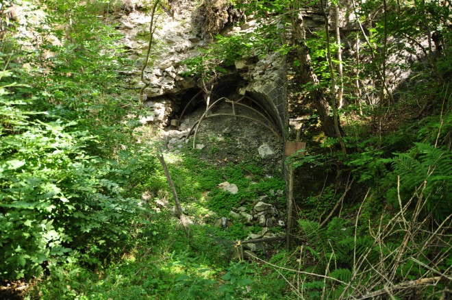 DSC_0805.JPG