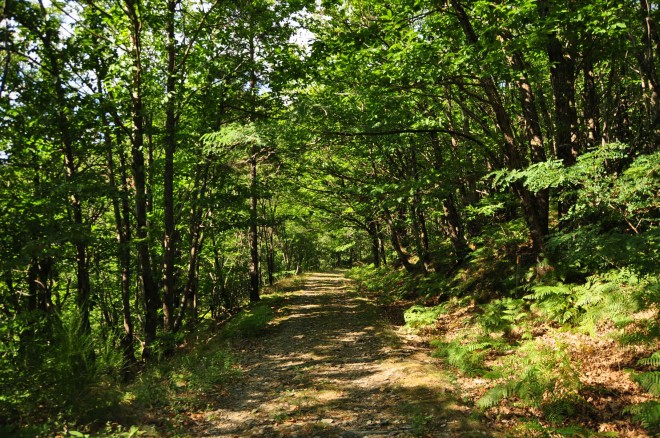 DSC_0905.JPG