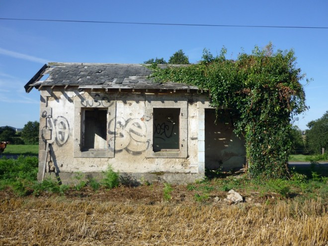 P1010135.JPG