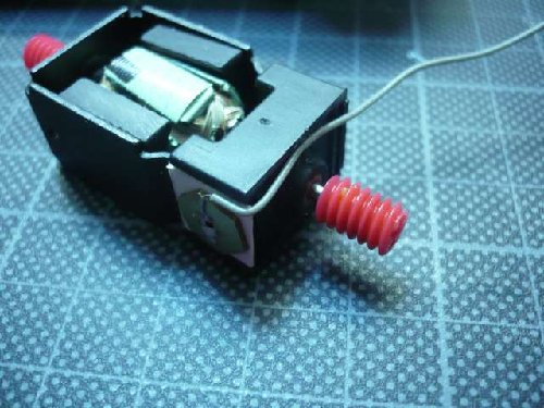 smP1010899.jpg