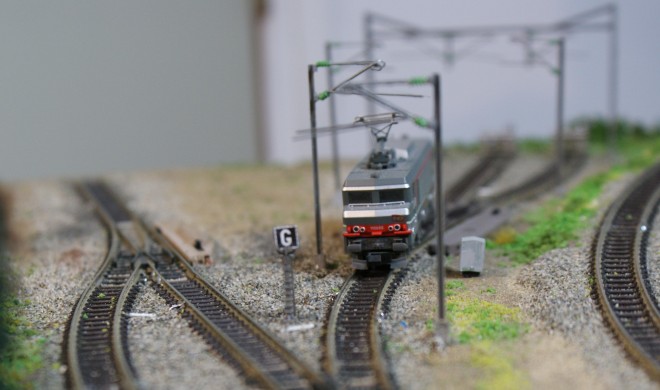 DSC02287_crop.jpg