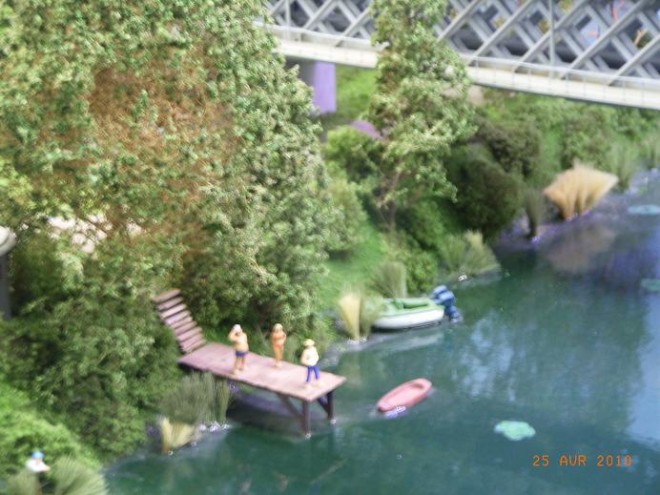 Photo 010.JPG