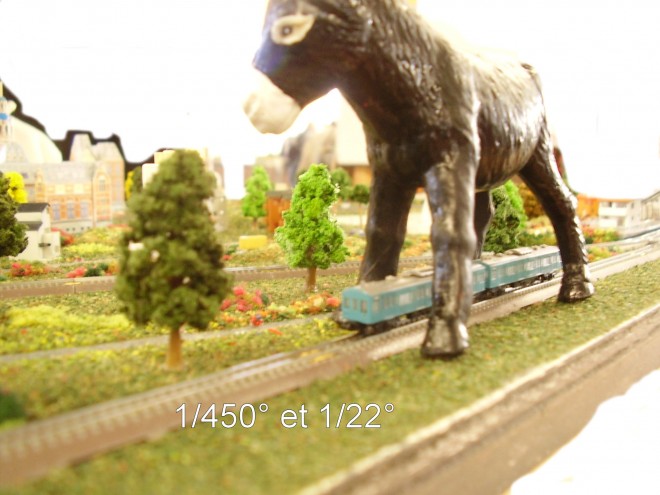 P1010031.JPG