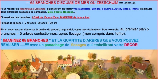 zeeschium2.JPG