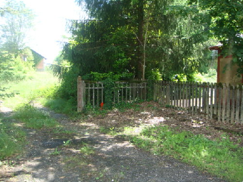DSC00287.JPG