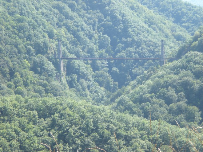 août 2009 068.jpg