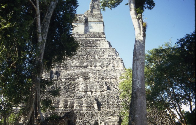 File0182.jpg