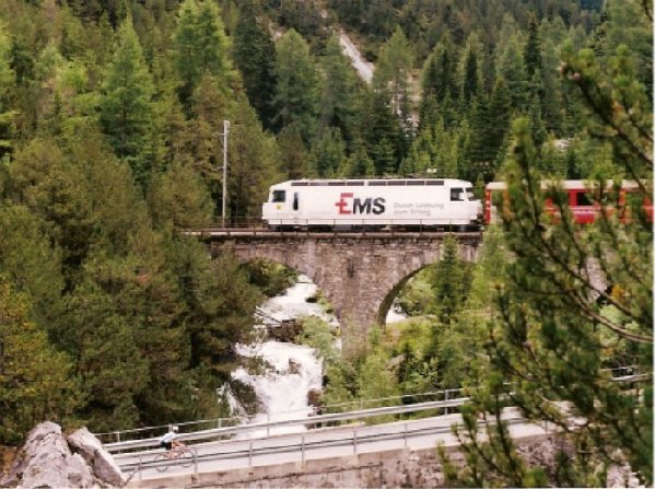 Albula0001_SM.jpg