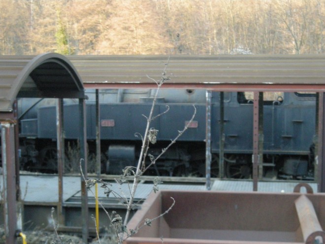 413.JPG