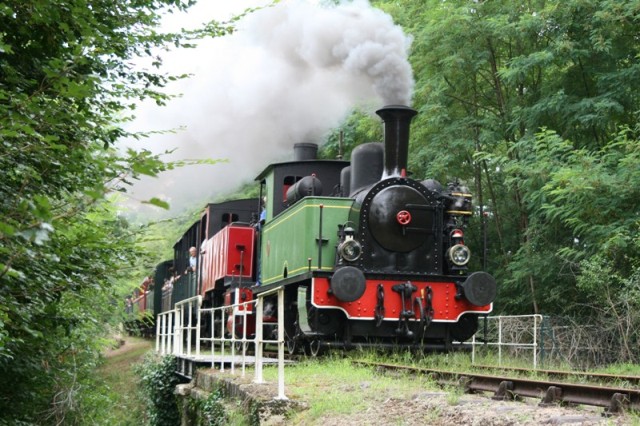 Copie de Train Guitres à Marcenais (33).jpg