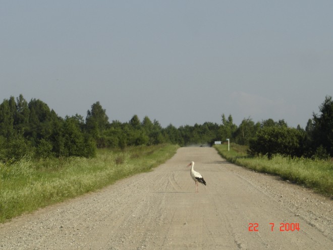 DSC05242.JPG