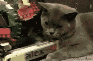 tumblr_inline_mh1asu40lD1rvydco.gif