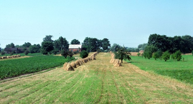 1977-08-1409-sochaczev-wyszograd_1.jpg