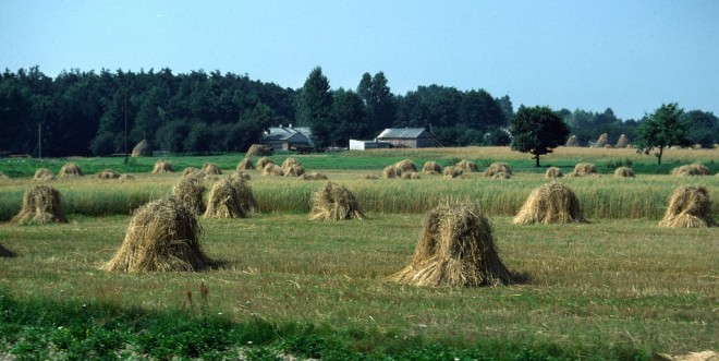 1977-08-1419-sochaczev-wyszograd_1.jpg