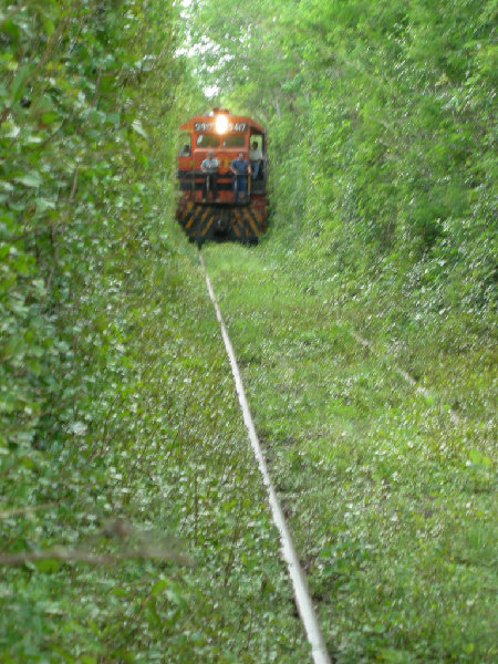 DSCN2429.jpg