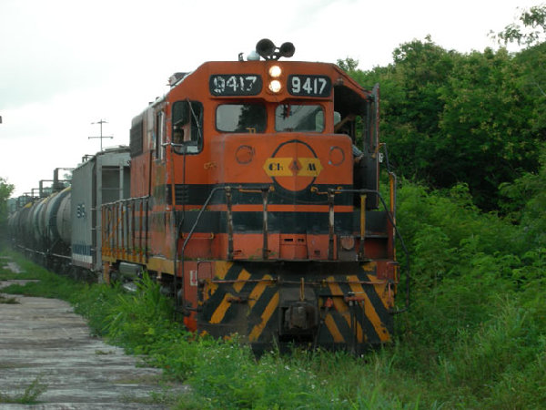DSCN2443.jpg
