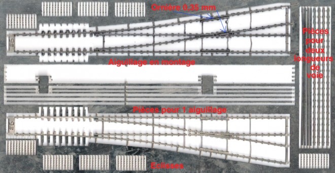 Aig-ProtoZ-photodec.jpg