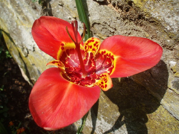 P7280012nnn.JPG