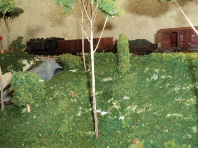DSC00855.JPG