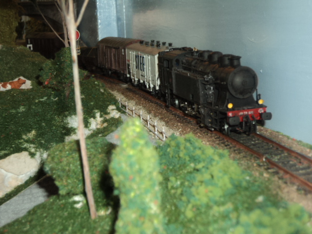DSC00895.JPG