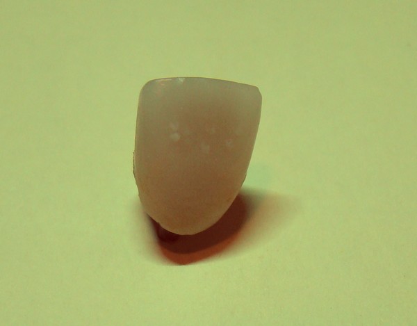 DSC03178.JPG
