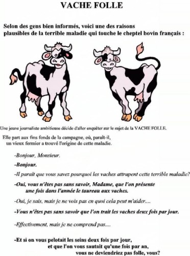 Vache_folle 1 ~1.jpg