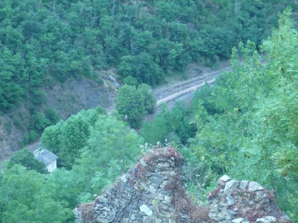 smP1020450.jpg