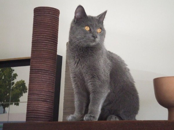DSCF7226.JPG