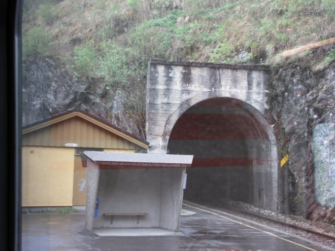Ne05.jpg