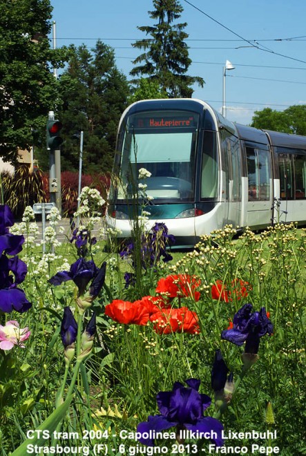 38309.JPG