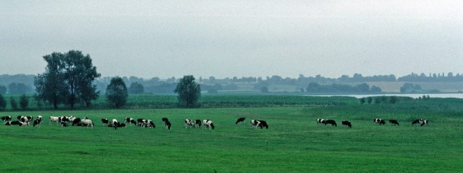 1977-08-1621-znin-biskupin_1.jpg