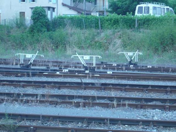 smP1020622.jpg