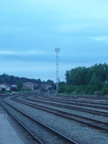 smP1020623.jpg