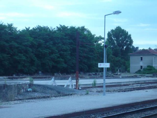 smP1020624.jpg