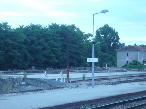 smP1020625.jpg