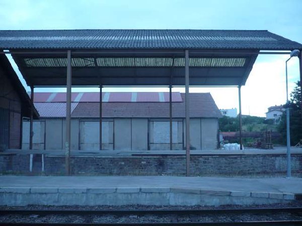 smP1020626.jpg
