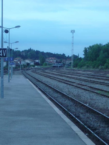 smP1020629.jpg