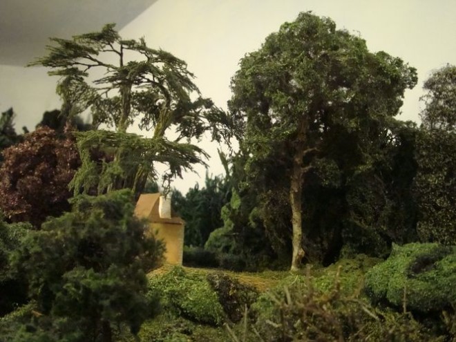 Platane et Cèdre.jpg