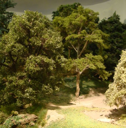 Chêne et Hêtre (réduite).jpg