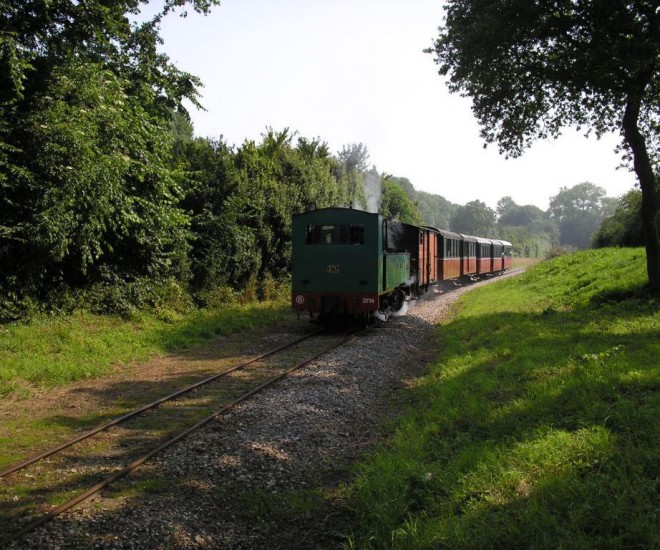 06 07 07 2013 BUFFAUD.JPG