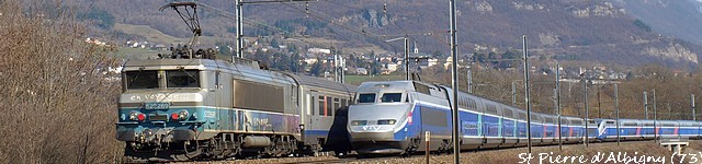 croisement bannière 2013.jpg