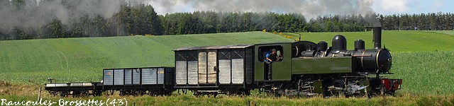 Mallet 101 Bannière 2013-3.jpg
