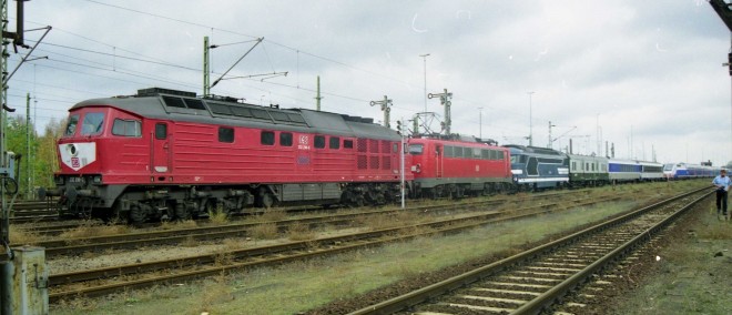 img654.jpg