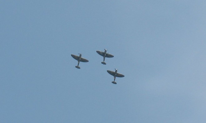 225.JPG