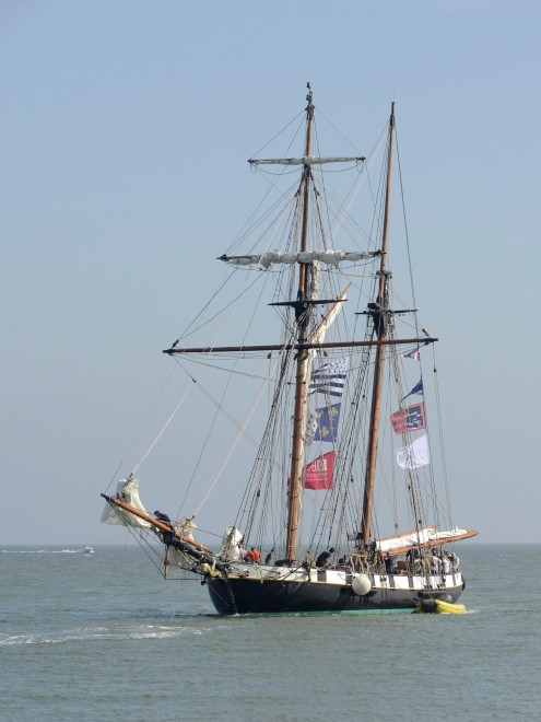 _PAT5439r_01.JPG