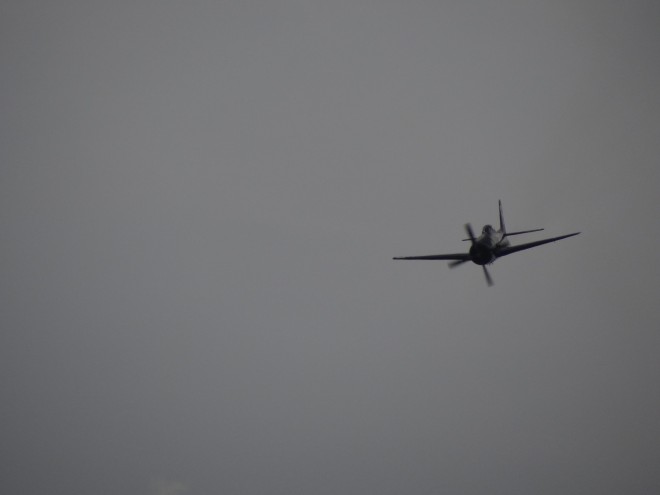 DSC07773.JPG