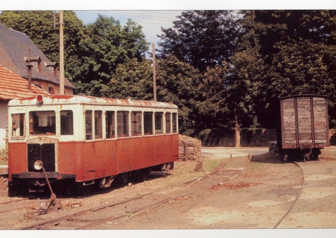 TC 2 Schnabel.jpg