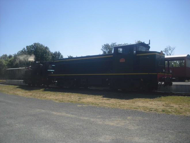CIMG8063.JPG