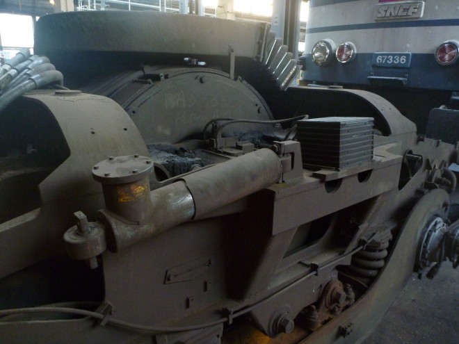P1000557.JPG